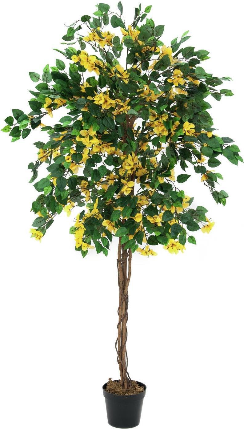 EUROPALMS Bougainvillea, Kunstpflanze, gelb, 180cm (82507081)