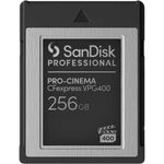 SanDisk PRO-CINEMA 256 GB (SDPCVN4-256G-GNANN)