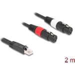Delock Adapterkabel RJ45 Stecker zu 2 x XLR 3 Pin Buchse schwarz 2 m (88176)