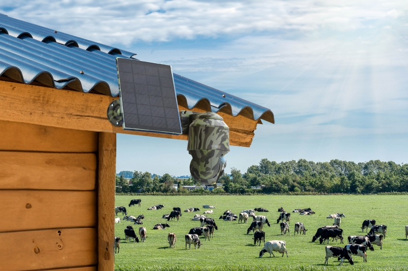 Technaxx Überwachungsset 4G PT Dome TX-290 mit Solarmodul 4 MP Schwarz, Grün
