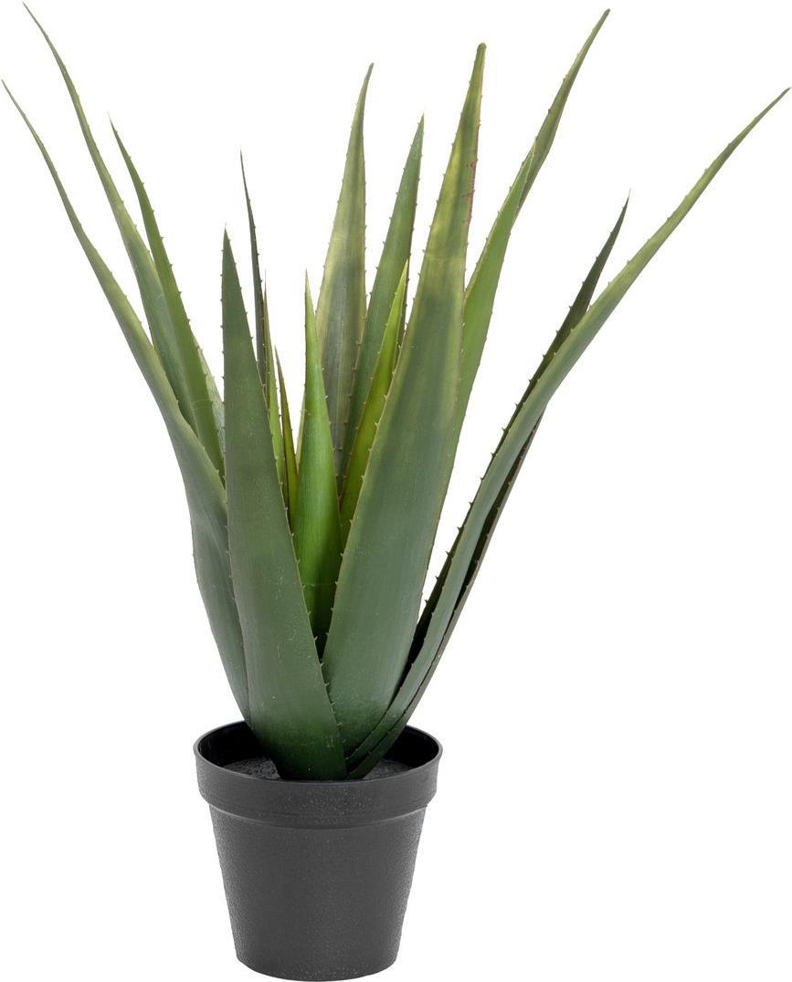 EUROPALMS Aloe-Vera Pflanze, Kunstpflanze, 60cm (82600167)