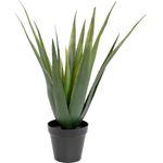 EUROPALMS Aloe-Vera Pflanze, Kunstpflanze, 60cm (82600167)