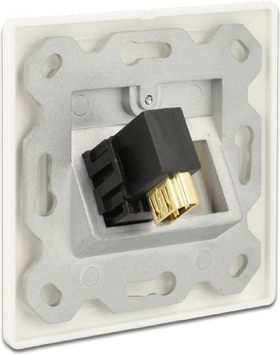DeLOCK Keystone module (86358)