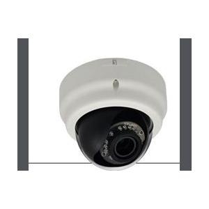 LevelOne FCS-3056 Netzwerk-Überwachungskamera (FCS-3056)