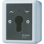 Schlüsselschalter 804.28G (804.28G)