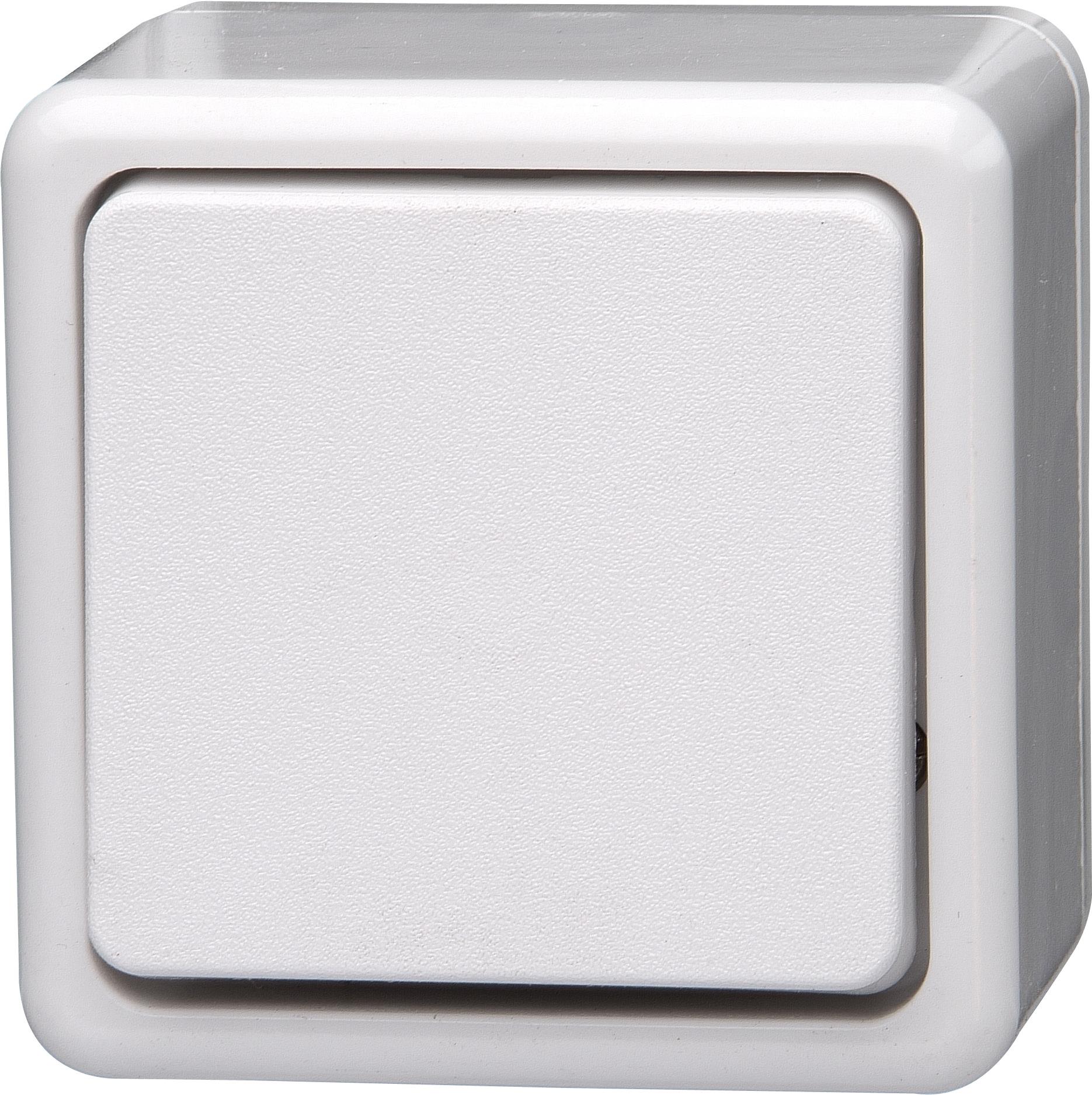 Kopp 513602005. Steuerung: Knöpfe, Produktfarbe: Weiß, Nennstrom: 10 A. Menge pro Packung: 10 Stück(e) (513602005)