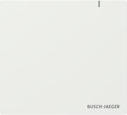 BUSCH JAEGER BJ SAP.13 System Access Point 3.0 (2CKA006200A0868)