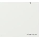 BUSCH JAEGER BJ SAP.13 System Access Point 3.0 (2CKA006200A0868)