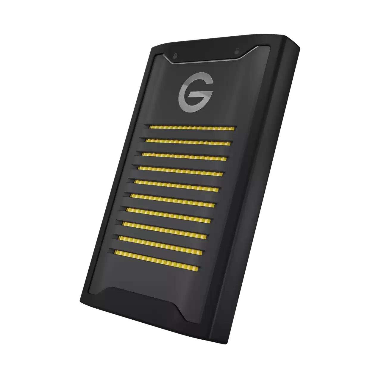 SanDisk Professional G-DRIVE ArmorLock Externe SSD 1 TB USB 3.2 Gen 2 USB-C 256-bit AES-XTS Schwarz