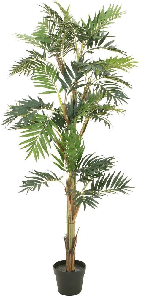 EUROPALMS Parlour Palme, Kunstpflanze, 150cm (82509495)