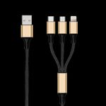 2GO 797152 USB Kabel 3 m USB B USB C/Micro-USB B/Lightning Schwarz - Gold (797152)