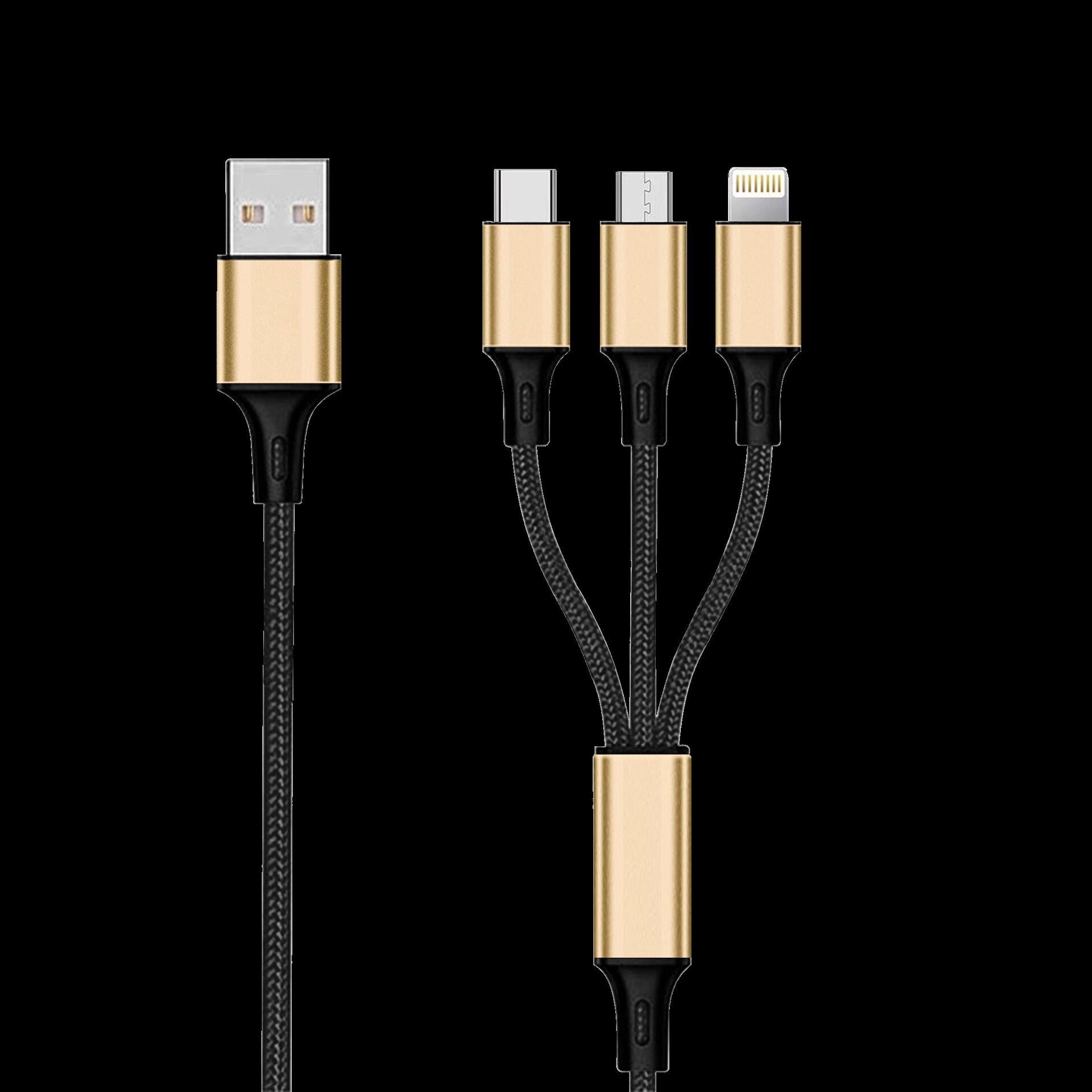2GO 797152 USB-Kabel 3 m USB B auf USB C/Micro-USB B/Lightning Schwarz - Gold