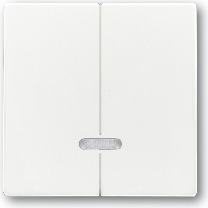 Busch Jaeger 6599-0-2908 Lichtschalter Weiß (6599-0-2908)