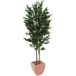 EUROPALMS Olivenbaum mit Früchten, 2-stämmig, künstlich, 250cm (82506418)