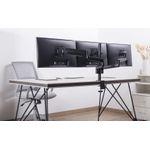 Equip 650134 Flachbildschirm-Tischhalterung Klemme Schwarz (650134)