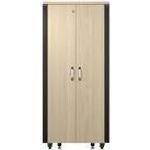 APC NetShelter Schrank (AR4032IA)