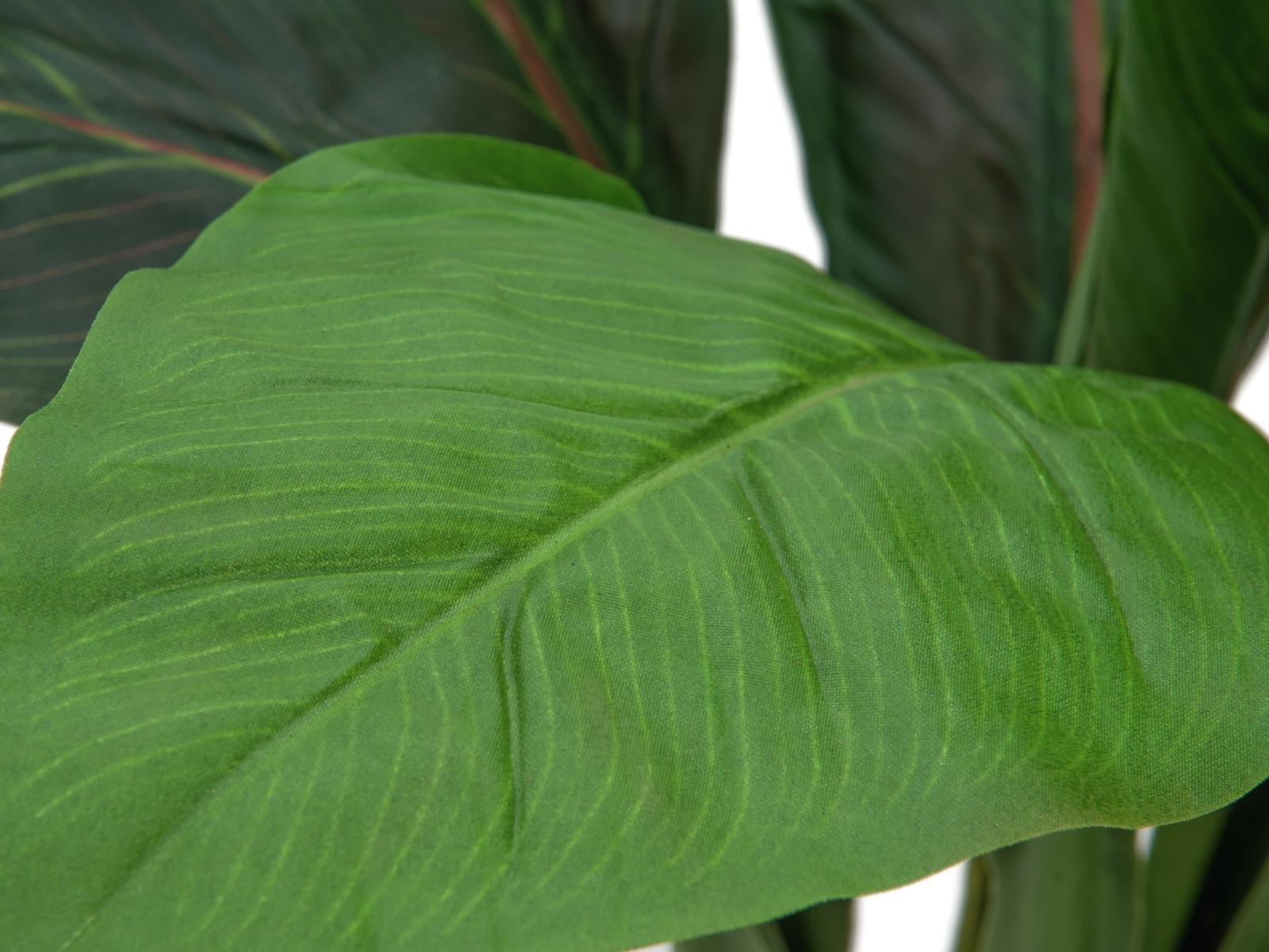 EUROPALMS Mangoldbusch, künstlich, 45cm (82508302)