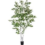 EUROPALMS Birkenbaum, Kunstpflanze, 210cm (82505232)