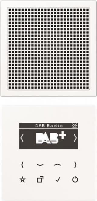 Jung DABLS1WW Smart Radio DAB+Set Mono (DABLS1WW)