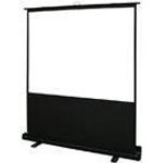 Elite Screens ezCinema Plus 2 Series Premium (F100XWV2)