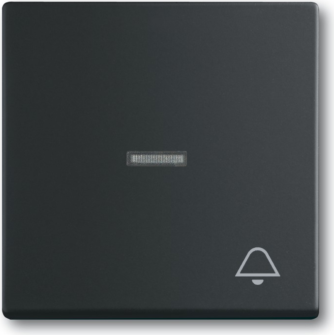 Busch Jaeger 1751-0-3044 Lichtschalter Schwarz Kunststoff (1751-0-3044)