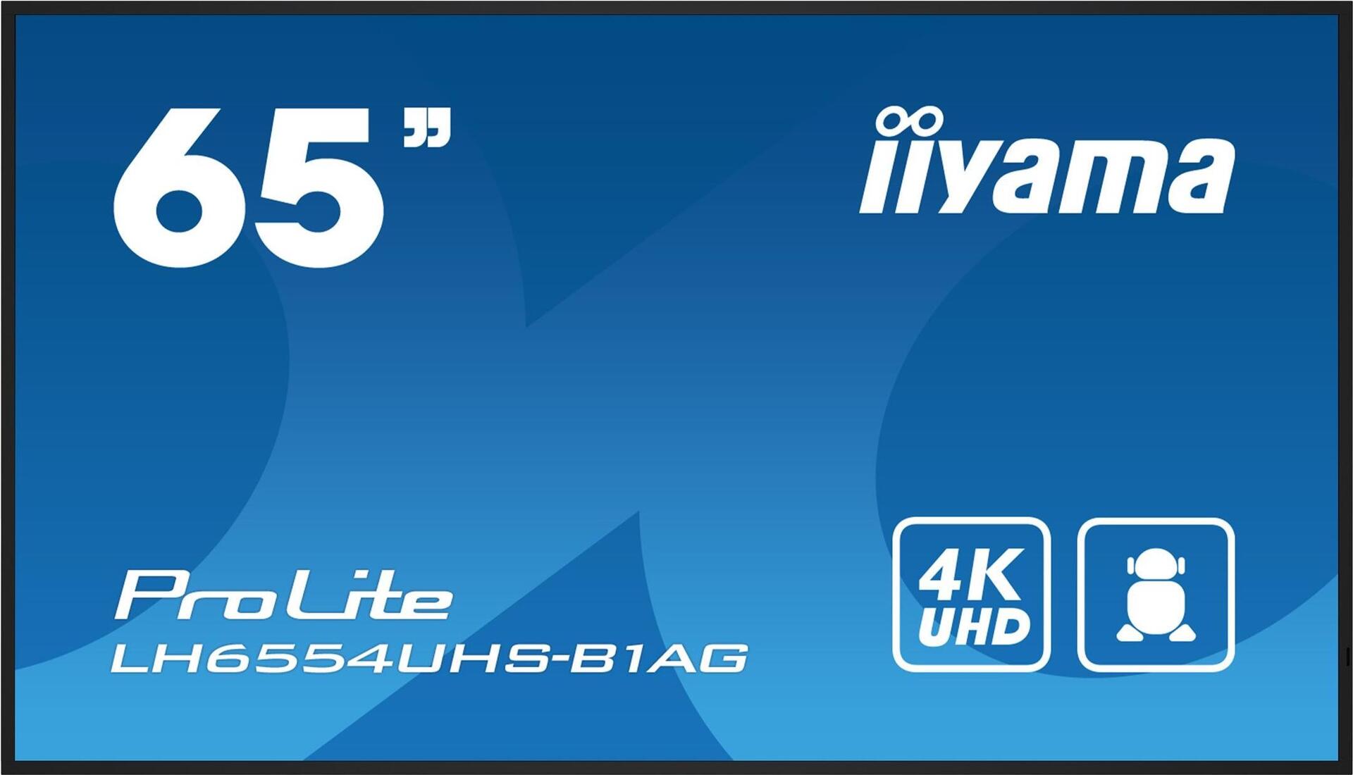 Iiyama ProLite LH6554UHS-B1AG 164cm 64.6