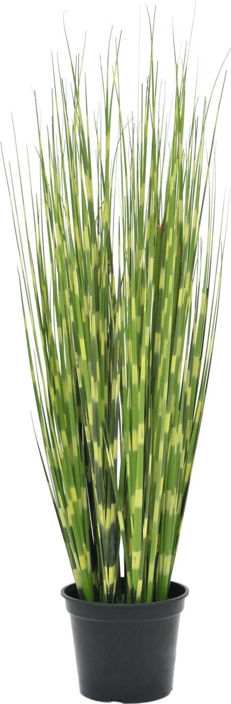 EUROPALMS Zebragras, künstlich, 90cm (82505863)