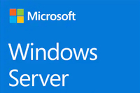 Microsoft Windows Server 2019 Datacenter (P71-09084)