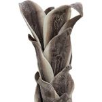 EUROPALMS Eulenfeder Zweig (EVA), künstlich, 110cm (82532004)