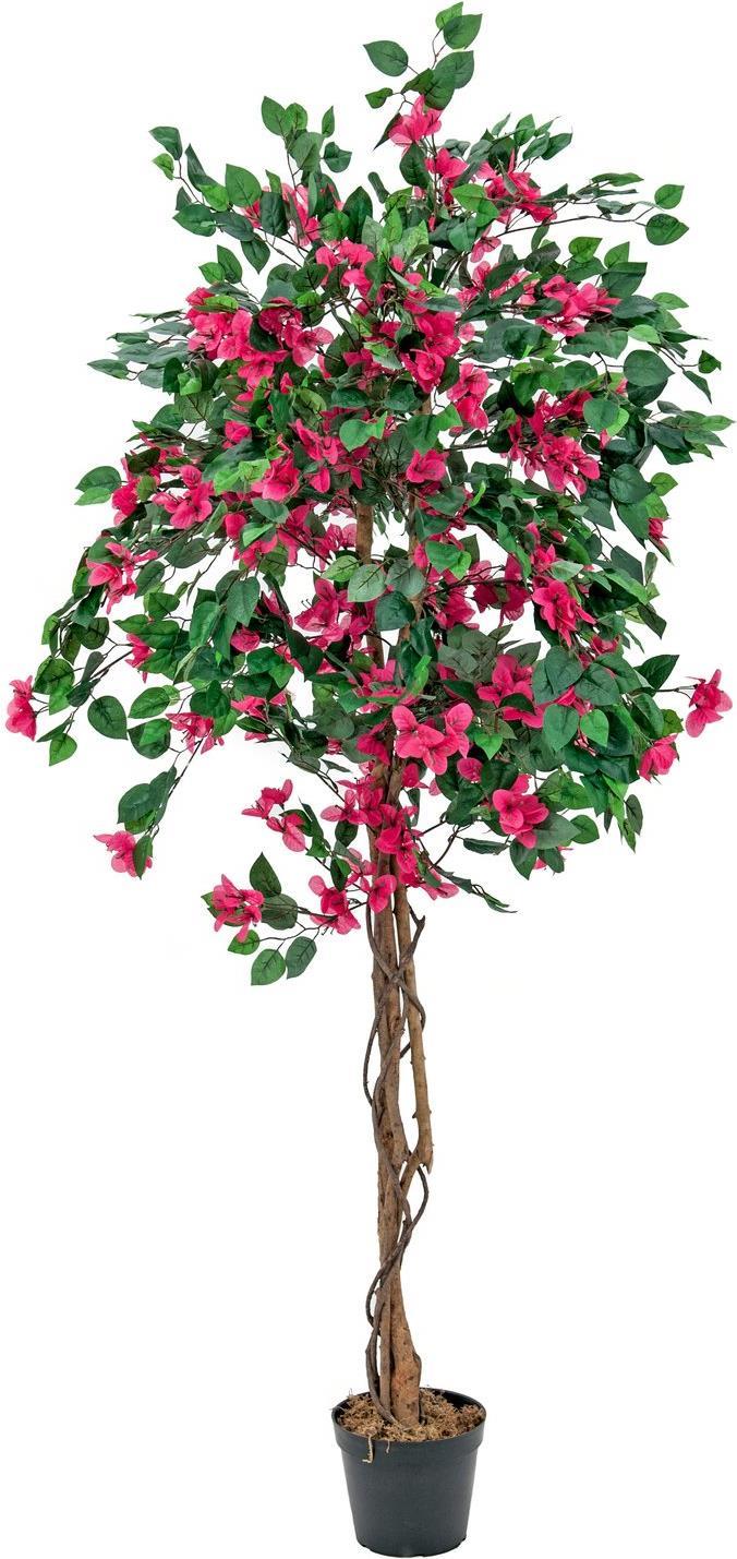 EUROPALMS Bougainvillea, Kunstpflanze, rosa, 150cm (82507055)