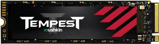 Mushkin Tempest SSD (MKNSSDTS256GB-D8)