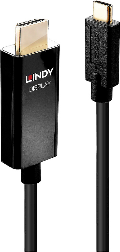 Lindy Videoschnittstellen-Converter (43293)