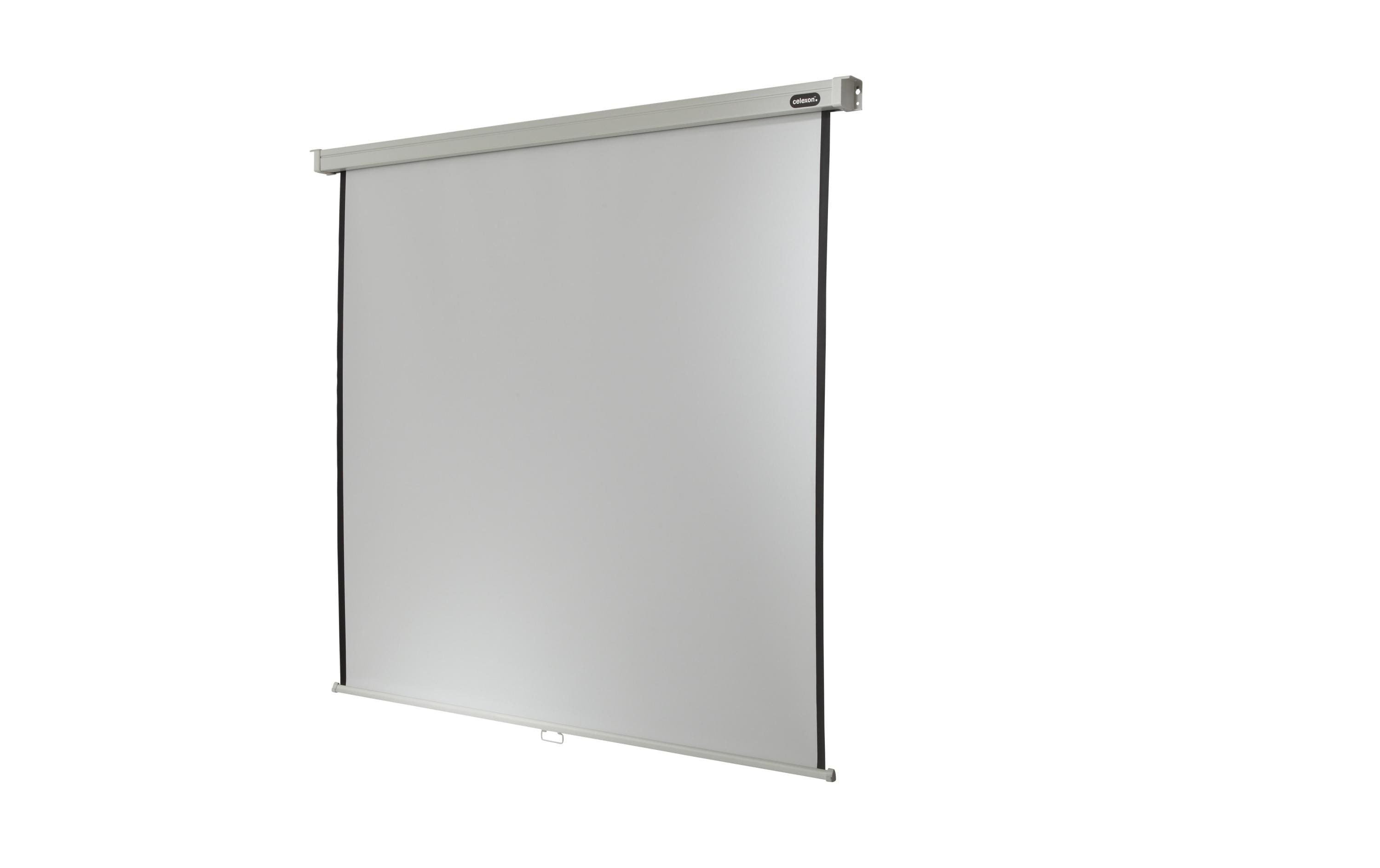 Celexon Professional Rollo-Leinwand manuell 220 x 220 cm (120") 1:1 Schwarz, Weiß
