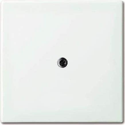 Zentralscheibe alpinws f.Datenkommunikation 2536-91 (1724-0-4338)