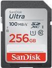 SanDisk Ultra Flash-Speicherkarte (SDSDUNR-256G-GN3IN)