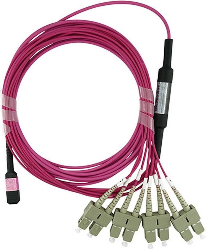 BlueOptics LWL Breakout Kabel, MTP/UPC, 4xDuplex SC/UPC, 2 Meter, Multimode G50/125µm, OM4, Markenfaser, 3.0mm LSZH magenta / violett, 8 Kerne (Belegung 1-4 & 9-12, für QSFP Nutzung), inkl. Messprotokoll, MTP Stecker ohne Pins (SFP6142FU2MKB)