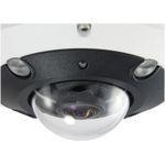 LevelOne FCS-3095 Panoramakamera (FCS-3095)