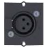 Bachmann Modulares Faceplate-Snap-In (917.096)