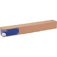 Epson Glänzend Rolle (91,4 cm x 30,5 m) (C13S041894)
