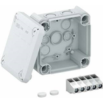 OBO Bettermann 2007926 Abzweigdose (L x B) 114 mm x 114 mm (2007926)