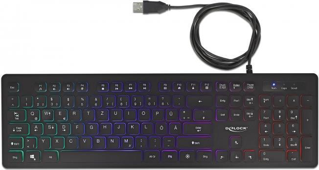 Delock USB Tastatur kabelgebunden 1,5 m schwarz mit RGB Beleuchtung (12625)