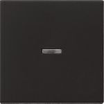 GIRA 0290005 0290005 Wippe Kontrollf. System 55 (290005)