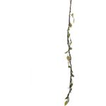 EUROPALMS Torfmyrte-Ranke, mit LEDs, weiß, 180cm (83330308)