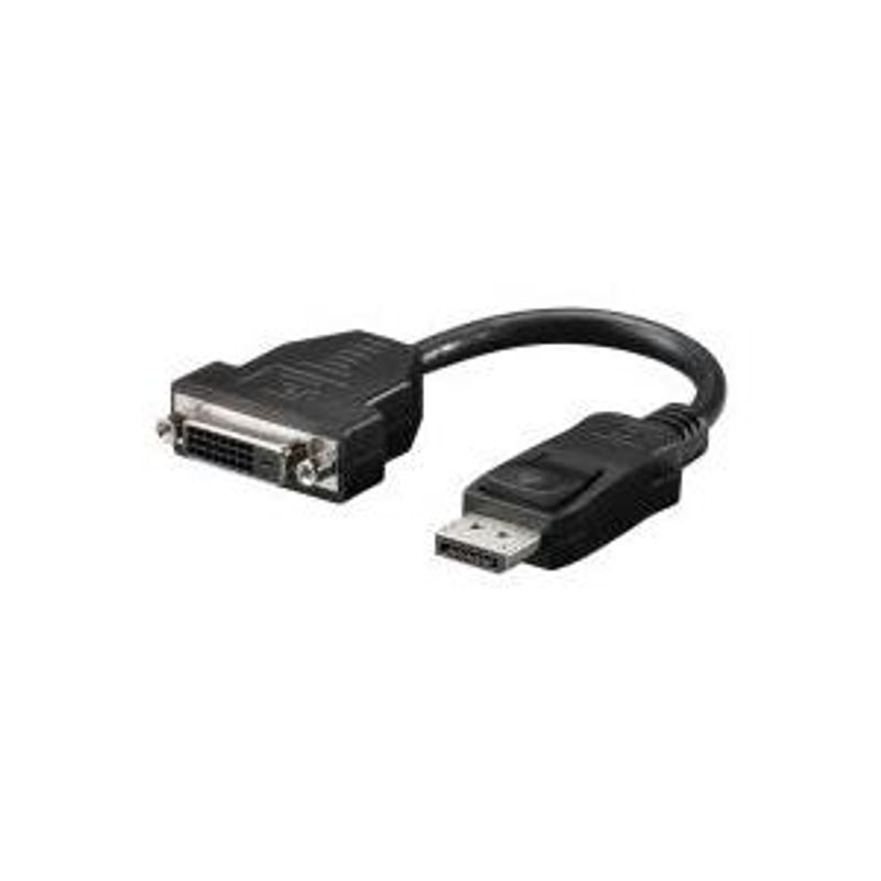 Wentronic Goobay Display-Adapter DisplayPort M bis DVI-D W 69873