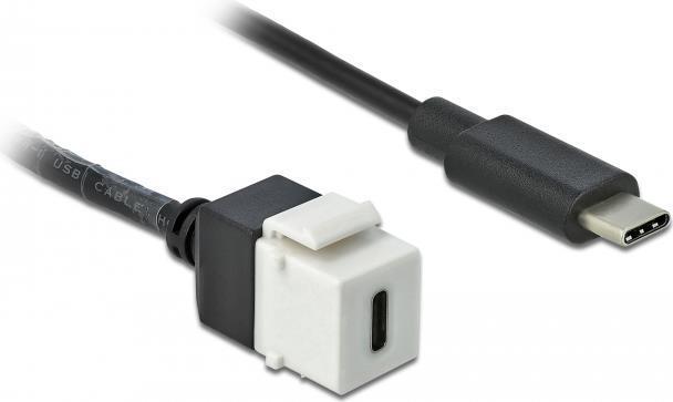 Delock Keystone Modul USB 3.0 C Buchse > USB 3.0 C Stecker mit Kabel (86399)