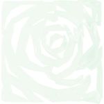 EUROPALMS Raumteiler Rose clear 4x (83313525)