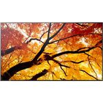 Sharp NEC MODEL PN-M322, 32" M-Series Large Format Display, FHD, 450cd/m2, D-LED [Energieklasse G] (60006052)