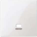 MERTEN Zentralplatte MEG3380-0319 für Zugschalter polarweis glänzend. MEG3 MEG3380-0319 (MEG3380-0319)