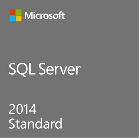 Microsoft SQL Server Standard Edition (228-09865)