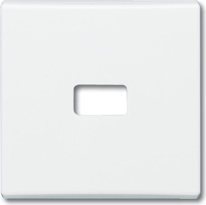 BUSCH-JAEGER Wippe f. Symbol 2120-32 IP44 Allwetter weiss 2120-32 (1731-0-1817)